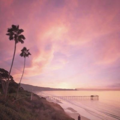 博鱼app下载手机版