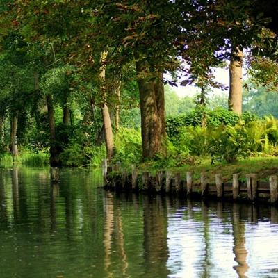 BOB·体育手机APP