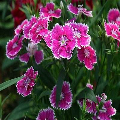 火狐电竞·huohu手机app下载