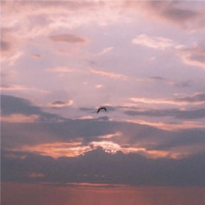 半岛官网入口网页版手机app下载