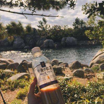 乐发lv彩票app下载安装