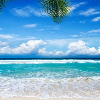 bd半岛·体育中国官方网站