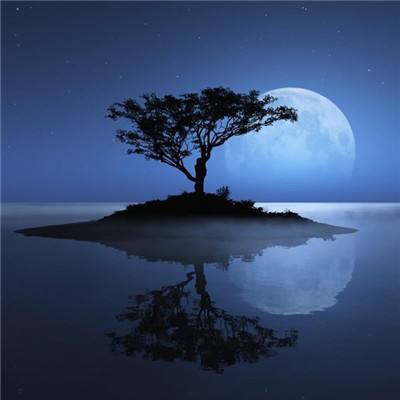 196体育(官方)APP下载安装