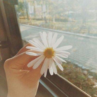 凤凰彩票56677官网入口查询