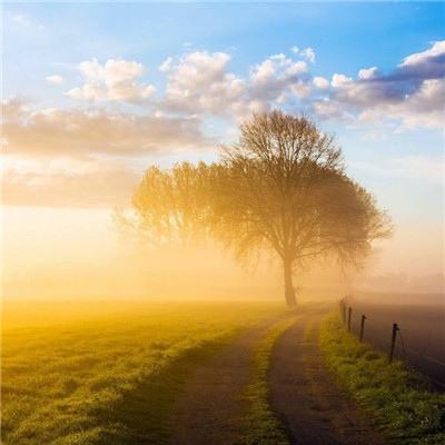 关于“开云电竞APP”app下载